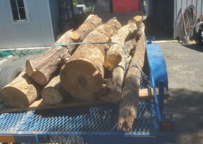 Pile of logs being pulled on a trailer