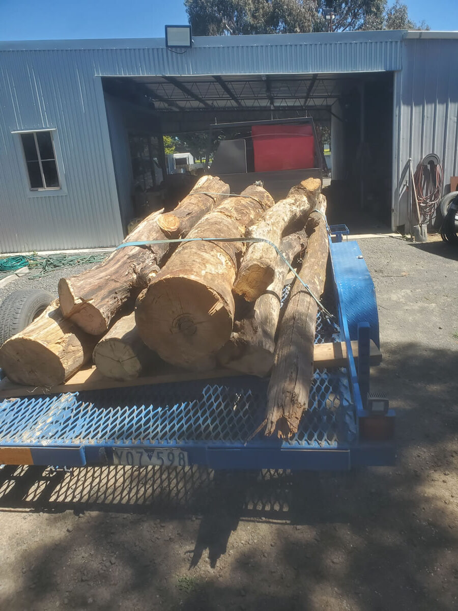 Pile of logs being pulled on a trailer